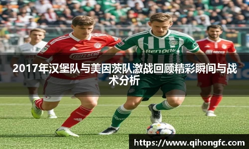 2017年汉堡队与美因茨队激战回顾精彩瞬间与战术分析